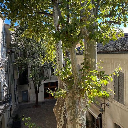 La Charmante Du Palais 2 Chambres Avignon Ngoại thất bức ảnh