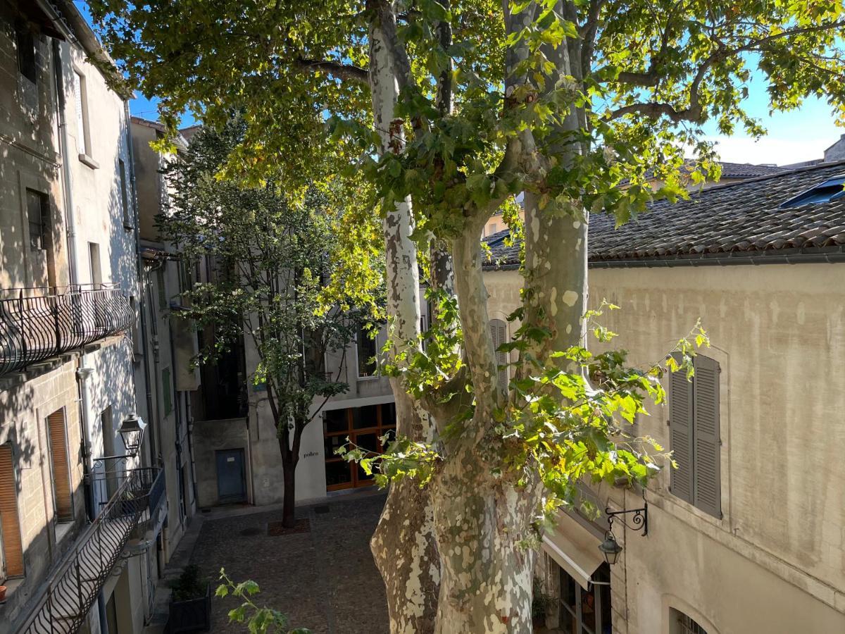 La Charmante Du Palais 2 Chambres Avignon Ngoại thất bức ảnh
