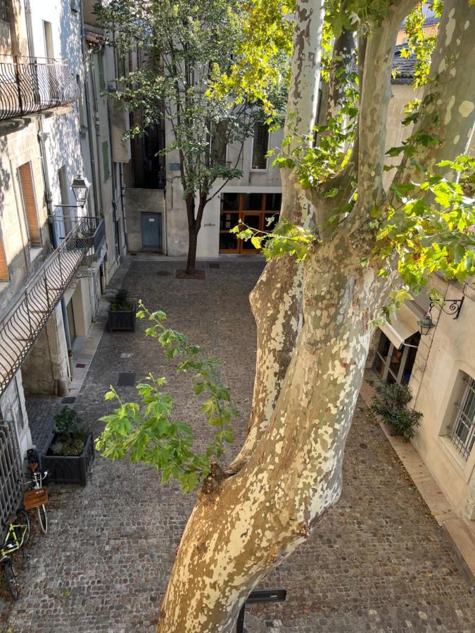 La Charmante Du Palais 2 Chambres Avignon Ngoại thất bức ảnh